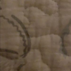 Meet your Posher, Maxwell